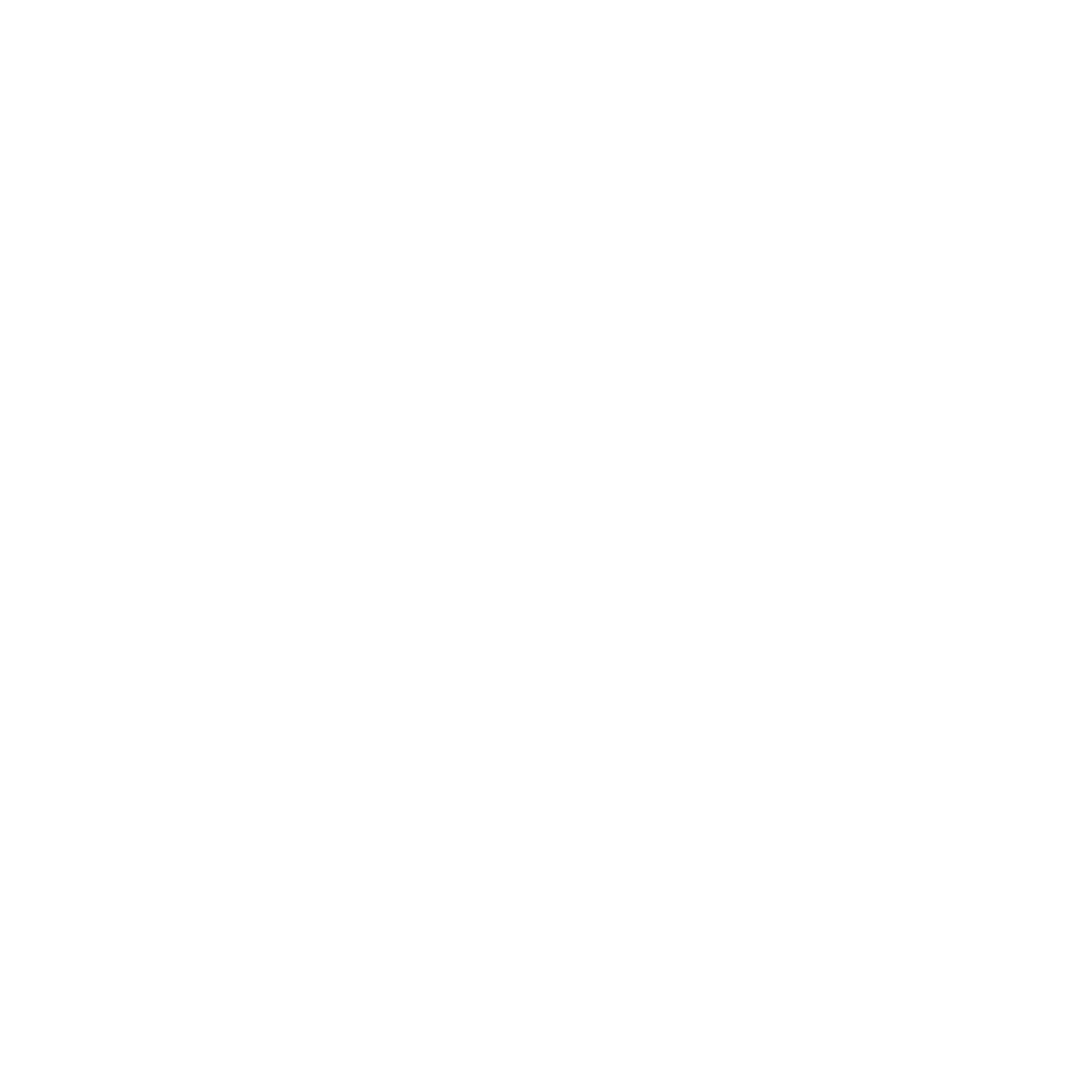 the-conseiller-logo-white1